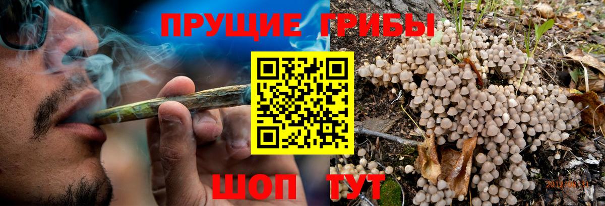 Галлюциногенные грибы мицелий  Псилоцибиновые грибы MAGIC MUSHROOMS  Клинцы  Вход с VPN 